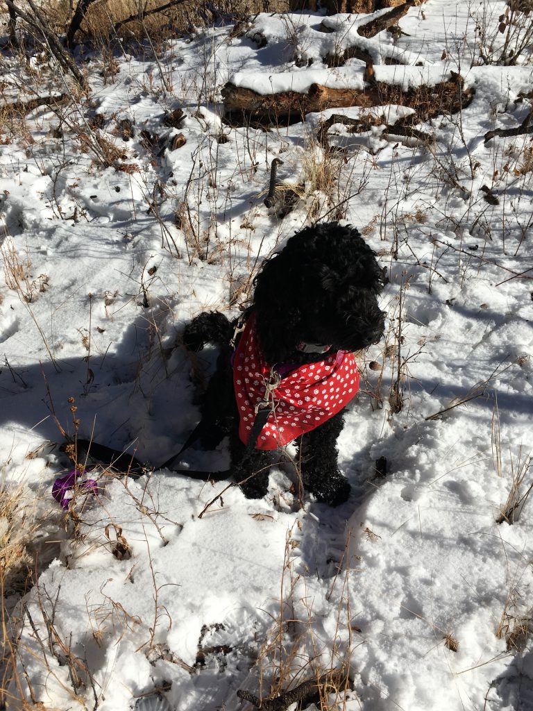Photo of Kelby May with a bandana in the snow