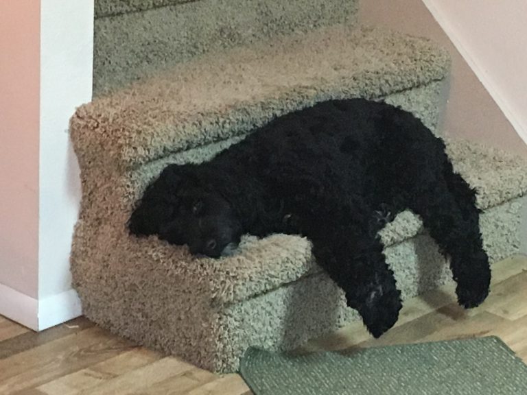 Kelby May laying on the stairs