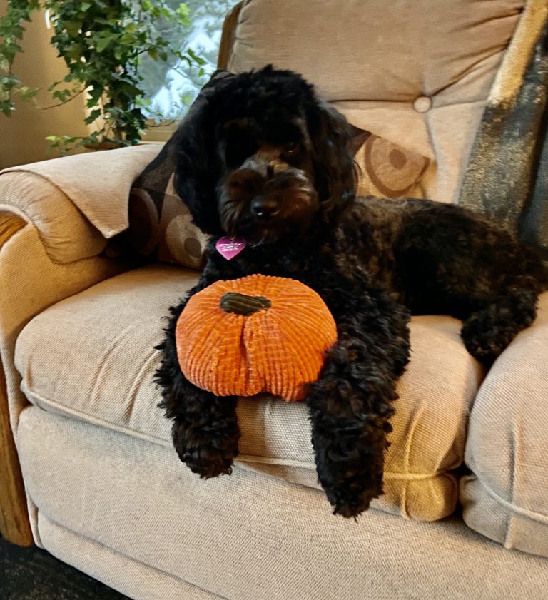 Photo of Kelby May with a stuffed pumpkin